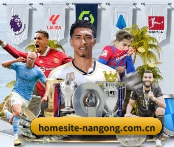 全球化 - 全球化战略取得重大进展,千万用户共同见证homesite-nangong.com.cn成长。